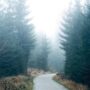 Habits That Make or Break a Leader